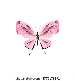 beautiful pink butterflies,isolated on a white 