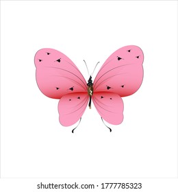 beautiful pink butterflies,isolated on a white 
