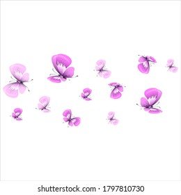 beautiful pink butterflies,isolated on a white 