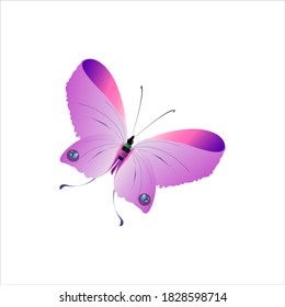 beautiful pink butterflies,isolated on a white 