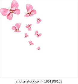 beautiful pink butterflies,isolated on a white 