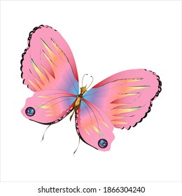 beautiful pink butterflies,isolated on a white 