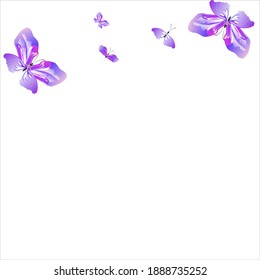 beautiful pink butterflies,isolated on a white 