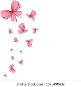 beautiful pink butterflies,isolated on a white 