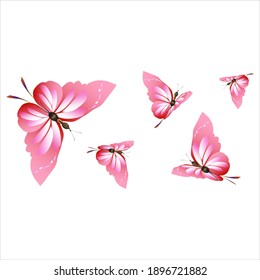 beautiful pink butterflies,isolated on a white 