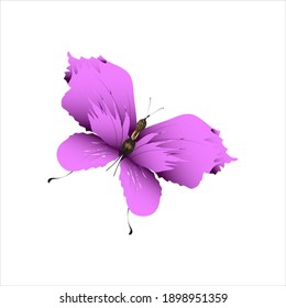 beautiful pink butterflies,isolated on a white 