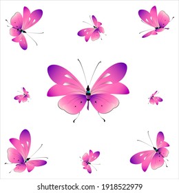 beautiful pink butterflies,isolated on a white 