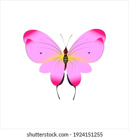 beautiful pink butterflies,isolated on a white 