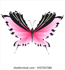 beautiful pink butterflies,isolated on a white 