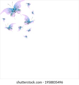 beautiful pink butterflies,isolated on a white 