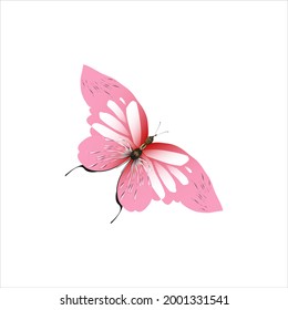 beautiful pink butterflies,isolated on a white 