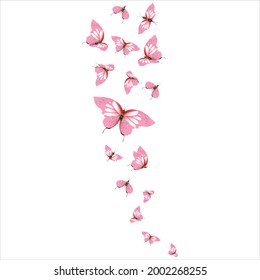 beautiful pink butterflies,isolated on a white 
