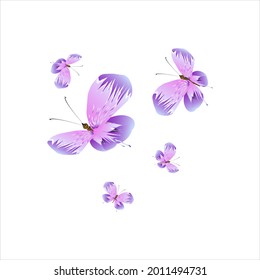 beautiful pink butterflies,isolated on a white 