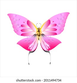 beautiful pink butterflies,isolated on a white 