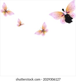 beautiful pink butterflies,isolated on a white 