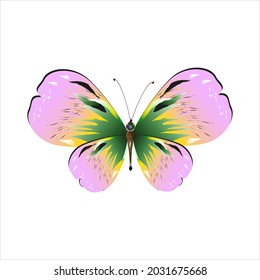 beautiful pink butterflies,isolated on a white 