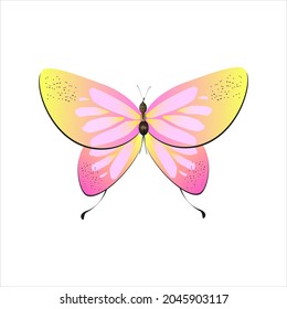 beautiful pink butterflies,isolated on a white 