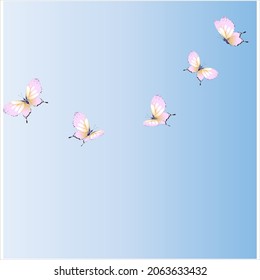 beautiful pink butterflies,isolated on a white 