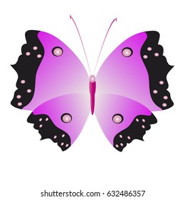 beautiful pink butterflies,isolated on a white 