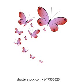beautiful pink butterflies,isolated on a white 