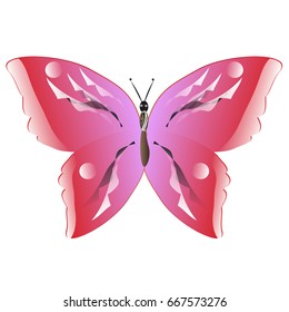 beautiful pink butterflies,isolated on a white 