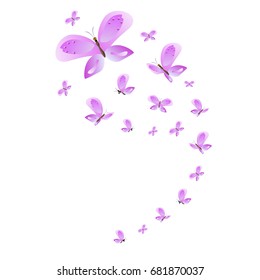 beautiful pink butterflies,isolated on a white 