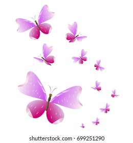 beautiful pink butterflies,isolated on a white 