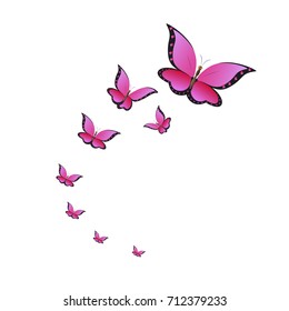 beautiful pink butterflies,isolated on a white  