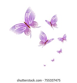 beautiful pink butterflies,isolated on a white 
