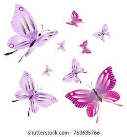 beautiful pink butterflies,isolated on a white 