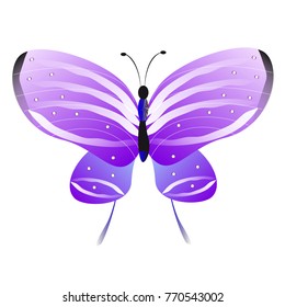 beautiful pink butterflies,isolated on a white 