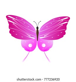 beautiful pink butterflies,isolated on a white 