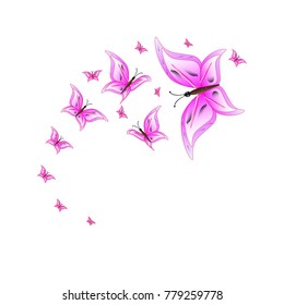 beautiful pink butterflies,isolated on a white 
