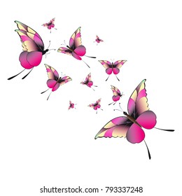 beautiful pink butterflies,isolated on a white 