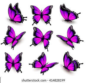 Beautiful of pink butterfly in different positions. Vector.