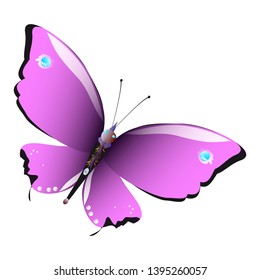 beautiful pink butterfly isolated on a white 