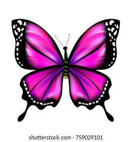 Beautiful Pink Butterfly Isolated On White Stock Vector (Royalty Free ...