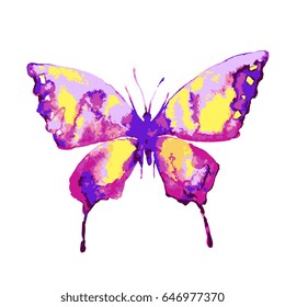 beautiful pink butterfly,watercolor,isolated on a white