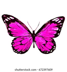 beautiful pink butterfly,watercolor,isolated on a white