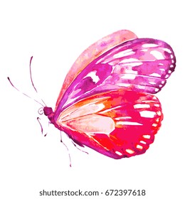 beautiful pink butterfly,watercolor,isolated on a white