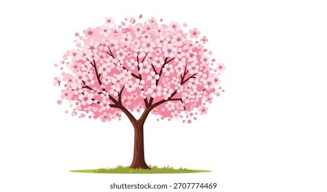 Hermoso árbol de flor de cerezo rosa en plena floración de pie en un parche de hierba verde aislado en un fondo blanco liso.