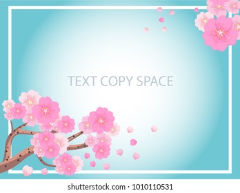 Beautiful pink cherry blossom with a variety of shades. Enter the Chinese New Year And Valentine's Day And the brightness of love around the world. On a blue background