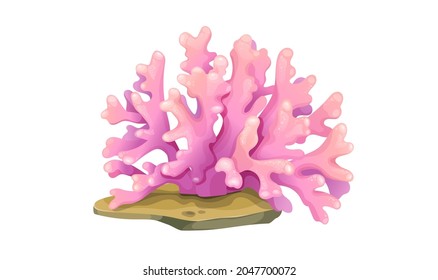 Beautiful pink coral isolated on white background. Concept of deep underwater plant. Vector graphic illustration