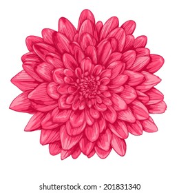 Beautiful Pink Dahlia With The Effect Of A Watercolor Drawing Isolated On White Background.