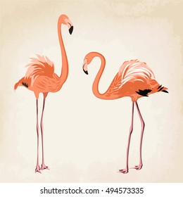 Beautiful pink flamingo birds on vintage background. Fully editable vector drawing.