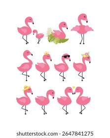 Linda coleção de ilustrações flamingo rosa