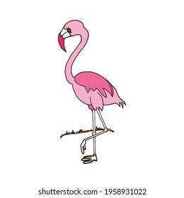 beautiful pink flamingo illustration on white background. hand drawn vector. cute and beauty bird. doodle art for kids, logo, label, cover, poster, sticker, card, banner, clipart. flamingo icon. 