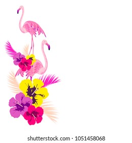 Beautiful pink flamingo, isolated on white