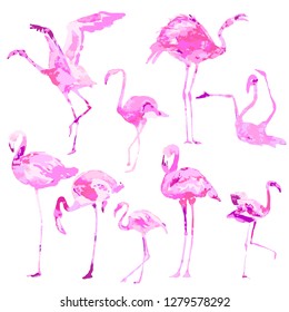 Beautiful pink flamingo, isolated on white