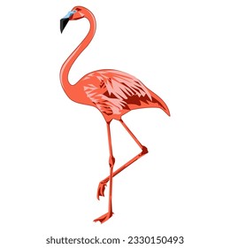 Beautiful pink flamingo. Modern style. Vector illustration isolated on white background.